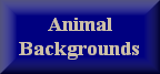 link to Eagle Gifts Galore Animal Background Papers page